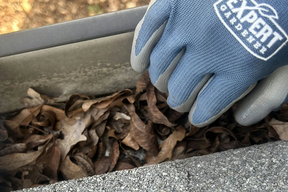 Gutter Cleaning Bethesda