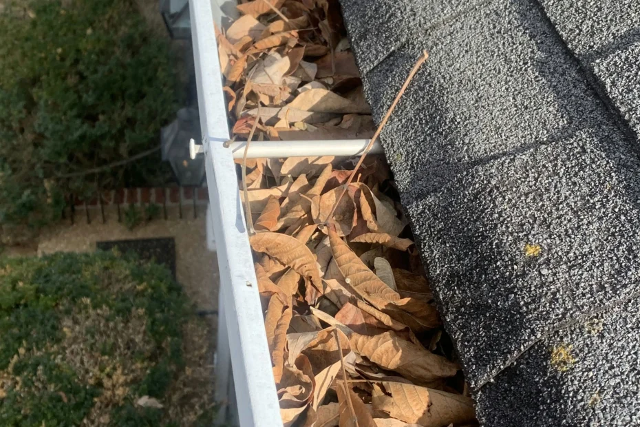 Gutter Cleaning Bethesda