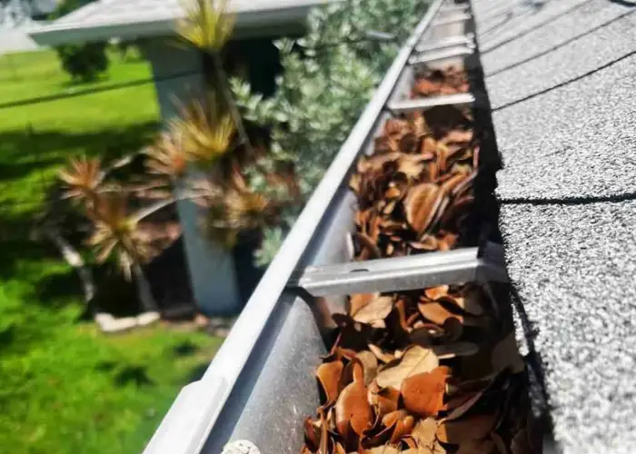 Gutter Cleaning Bethesda home page